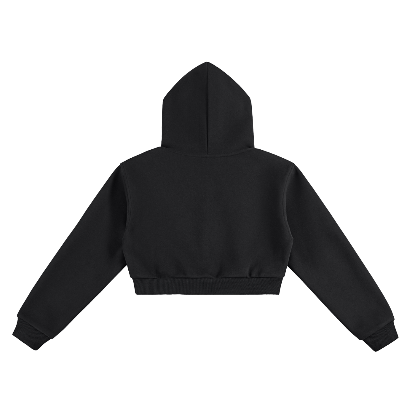 AD4K Shield Adult Cropped Hoodie